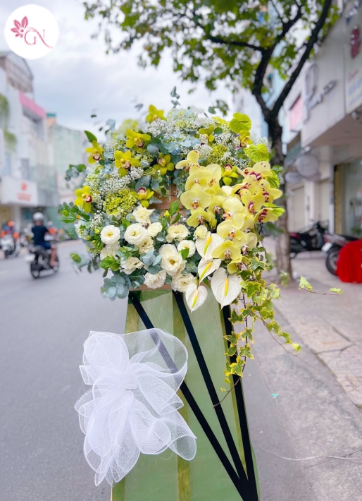 HOA KHAI TRƯƠNG MS4