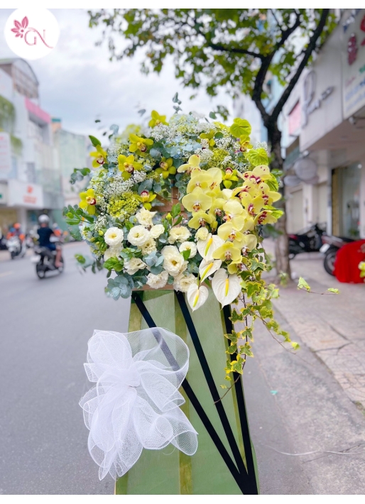 HOA KHAI TRƯƠNG MS4